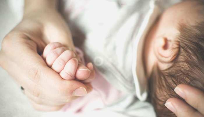 मां की ममता का कोई न तो विकल्‍प है, और न ही कोई मोल: हाई कोर्ट