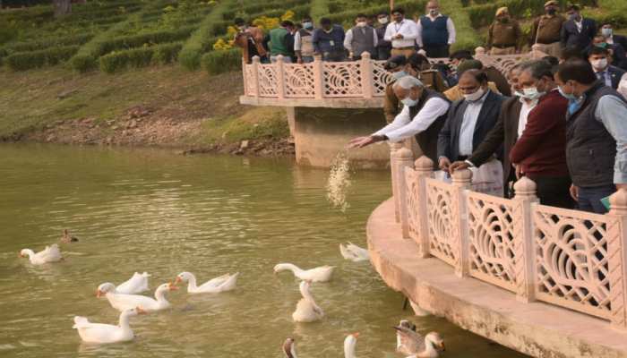राजगीर में सीएम नीतीश ने कहा- हर हाल में फरवरी तक बन जाएगा यहां नया रोपवे राजगीर में सीएम नीतीश ने कहा- हर हाल में फरवरी तक बन जाएगा यहां नया रोपवे