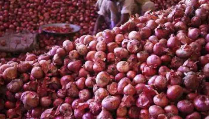 राजस्थान: गहलोत सरकार ने की प्याज स्टॉक की लिमिट तय, जमाखोरी पड़ेगी 'भारी' राजस्थान: गहलोत सरकार ने की प्याज स्टॉक की लिमिट तय, जमाखोरी पड़ेगी 'भारी'