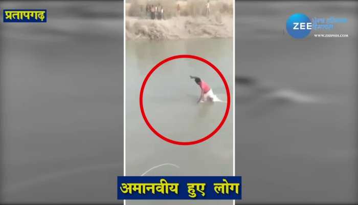 VIDEO: people killed dolphin fish in pratapgarh