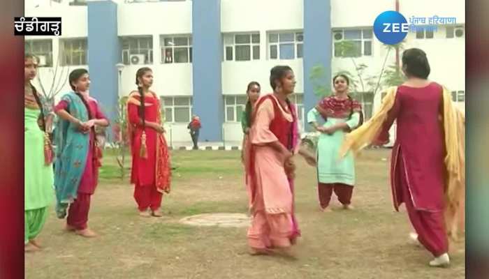 Chandigarh Health Worker Lohri Celebration