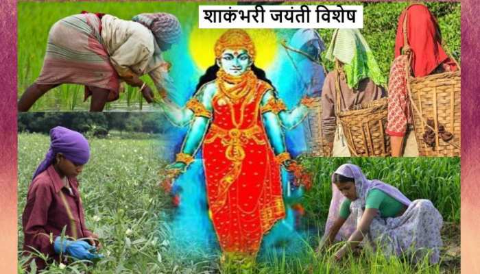 Shakambhari Jayanti: खेतों में काम करने वाली हर मां है देवी शाकंभरी
