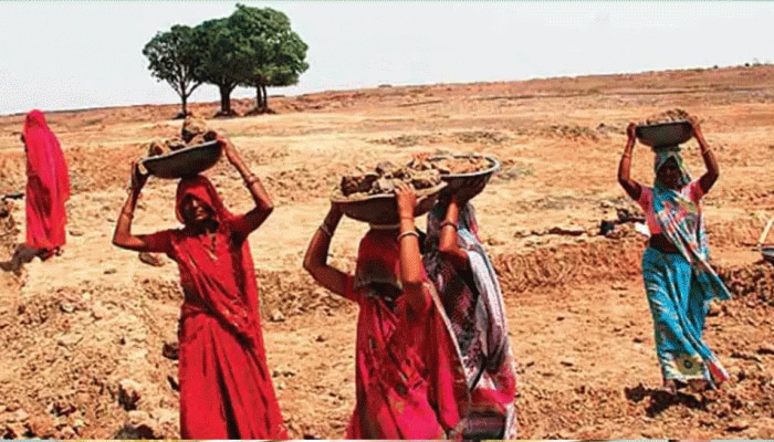 मनरेगा की ताज़ा खबरे हिन्दी में | ब्रेकिंग और लेटेस्ट न्यूज़ in Hindi - Zee  News Hindi