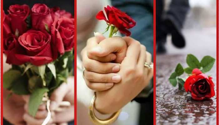 Rose Day Special: एक्सपेक्टेशन Vs रियलिटी