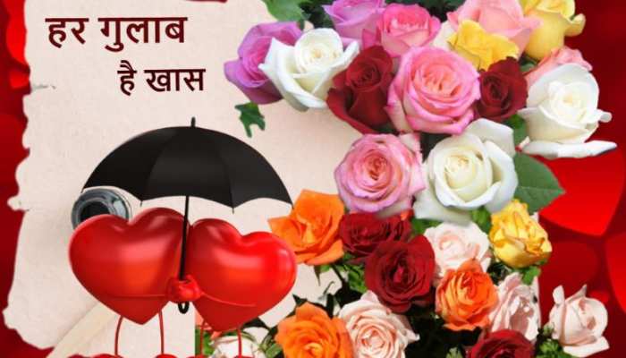 Happy Rose Day कहने से पहले जानिए किस गुलाब में कौन सी Feeling