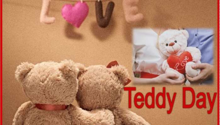 Teddy Day Special: पार्टनर को टेडी देने से पहले जानें इसका महत्व