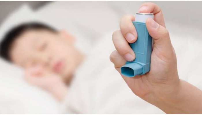 changing season increases asthma patients problem foods to eat and avoid |  बदलते मौसम में बढ़ जाती है Asthma के मरीजों की मुश्किलें, डाइट में इन चीजों  को जरूर करें शामिल |