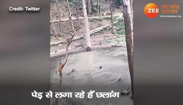 Hlsqh6bflrw45m Vietnamese tv on roku, vietnamese tv channel in california,vietnamese tv channels in usa,vtv vietnam live stream, vietnam tv app for android, vietnamese tv streaming box,viet channel, vietchannel, viet channels, vietchannels. https zeenews india com hindi india up uttarakhand live tv