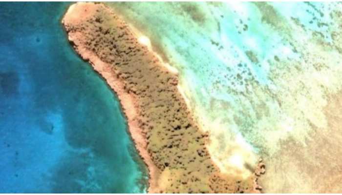 Google Map पर Joleen Vultaggio को मिला नया Island, शेप देख हुईं हैरान Google Map पर Joleen Vultaggio को मिला नया Island, शेप देख हुईं हैरान