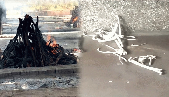शमशान में होश उड़ाने वाली घटना, परिजन पहुंचे तो अस्थियां नहीं, मिले आलपिन वाले नींबू शमशान में होश उड़ाने वाली घटना, परिजन पहुंचे तो अस्थियां नहीं, मिले आलपिन वाले नींबू