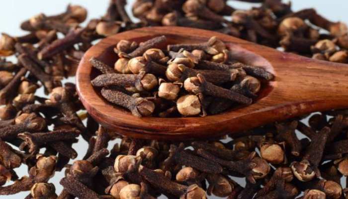 पुरुषों के लिए बहुत फायदेमंद है छोटी सी लौंग, जानिए इस्तेमाल करने का तरीका और समय पुरुषों के लिए बहुत फायदेमंद है छोटी सी लौंग, जानिए इस्तेमाल करने का तरीका और समय