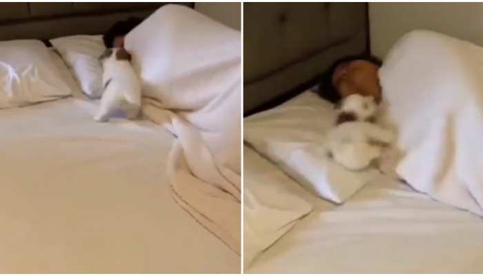 Viral Video: सुबह Alarm से भी आंख न खुलती हो तो आजमाएं यह तरीका Viral Video: सुबह Alarm से भी आंख न खुलती हो तो आजमाएं यह तरीका