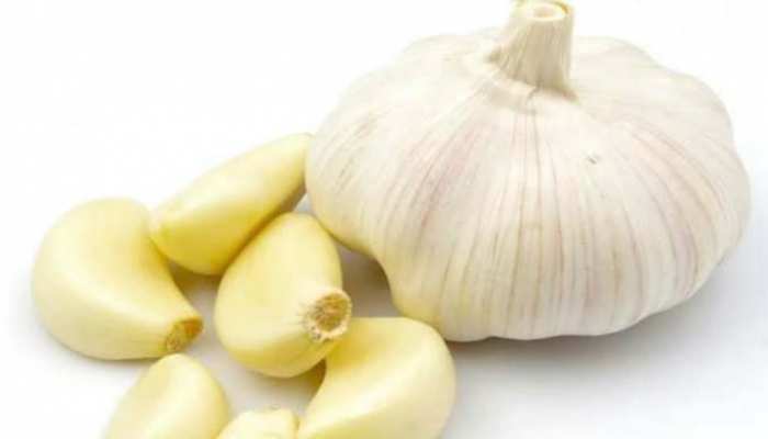 man benefits from eating garlic health tips mpap | पुरुष इस समय खा लें लहसुन की पांच कलियां, मिलेंगे जबरदस्त फायदे | Hindi News, MPCG Trending News