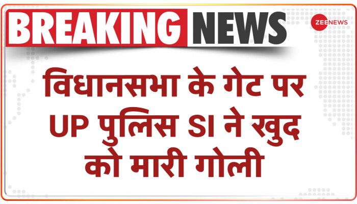 Elon Musk's company suffered big losses, starship SN10 crashed as soon as it landed | एलन मस्क ...
