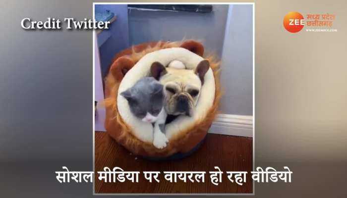 Ergvsszjb Q9m Zee news is india's most trusted hindi news channel with 24 hour coverage. 2