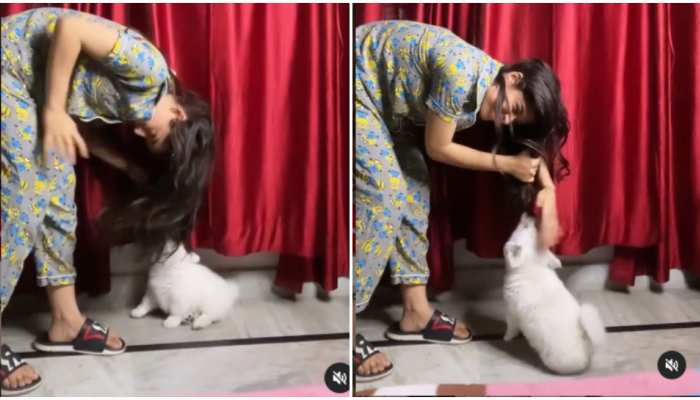 viral video funny video of girl blooper with hair gives dog some