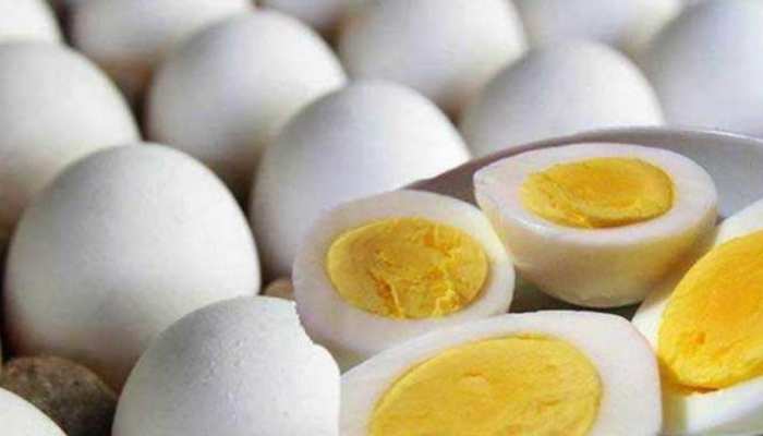 eating one egg daily for man is very beneficial health stays strong mpap |  पुरुषों को सुबह से रोज खाना चाहिए एक अंडा, मिलते हैं इतने फायदे | Hindi  News, MPCG Trending News