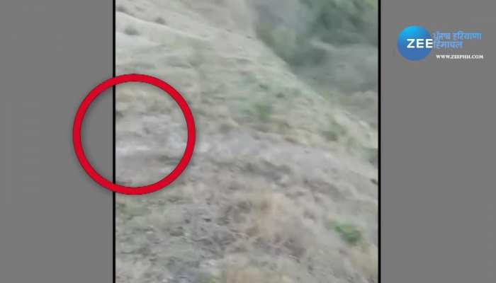 Nihang Singh Attack On 2 Person With Kirpan On Injured Police Registered Case Under 307