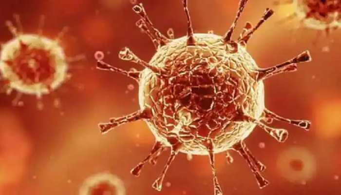 Bihar में फिर बरसने लगा Corona का कहर,  पिछले 5 दिनों में मिले 1,411 संक्रमित मामले