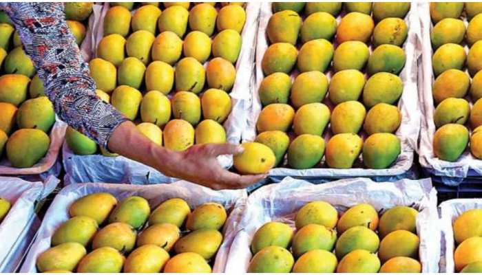How To Identify Mangoes: कैसे करें मीठे और पके हुए आमों की पहचान? जानिए सबसे आसान टिप्स How To Identify Mangoes: कैसे करें मीठे और पके हुए आमों की पहचान? जानिए सबसे आसान टिप्स