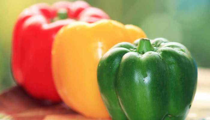 Health Tips Benefits of Bell Peppers or Capsicum or Shimla Mirch Rich With  Potassium and Many Vitamins For healthy Lifestyle upns | स्वस्थ रहना है तो शिमला  मिर्च से कर लें दोस्ती,