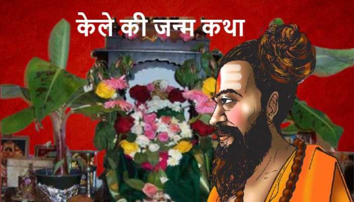 ऋषि दुर्वासा के भयंकर श्राप से उत्पन्न हुआ पेड़, जानिए पूजा में कैसे पूज्यनीय बन गया केला