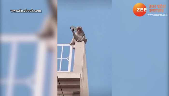 Most funny Monkey video Monkey ran away with mobile video goes viral in Social Media SPUP