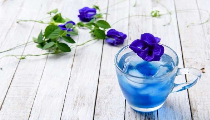 benefit of blue tea neeli chai aprajita flower tea butterfly tea wight loss  to memory booster pcup | भूल जाएंगे ग्रीन टी के फायदे जब पीएंगे Blue Tea,  गजब की फायदेमंद है