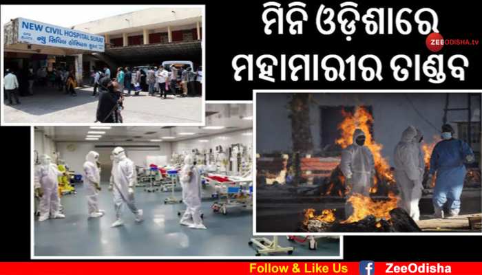 Coronavirus: ସୁରଥରେ ଗଡୁଛି ଓଡି଼ଆଙ୍କ ମୁଣ୍ଡ, ଗଞ୍ଜାମରେ କୋକୁଆ ଭୟ Coronavirus: ସୁରଥରେ ଗଡୁଛି ଓଡି଼ଆଙ୍କ ମୁଣ୍ଡ, ଗଞ୍ଜାମରେ କୋକୁଆ ଭୟ