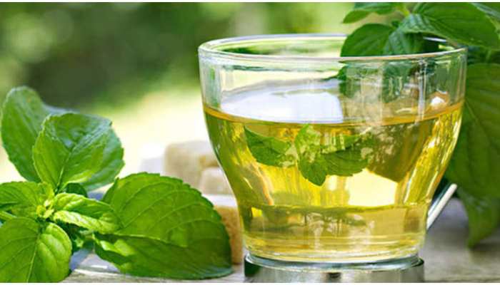 Mint Tea Recipe: गर्मियों में पीएं पुदीना चाय, शरीर को मिलेगी ठंडक Mint Tea Recipe: गर्मियों में पीएं पुदीना चाय, शरीर को मिलेगी ठंडक