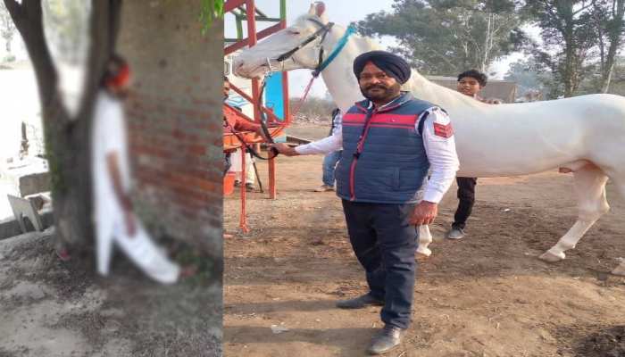ਸ਼ੱਕੀ ਹਲਾਤਾਂ 'ਚ ਮਿਲੀ ਟ੍ਰੈਫਿਕ ਕਰਮੀ ਦੀ ਲਾਸ਼, ਪੁਲਿਸ ਕਰ ਰਹੀ ਇਸ ਐਂਗਲ ਨਾਲ ਜਾਂਚ ਸ਼ੱਕੀ ਹਲਾਤਾਂ 'ਚ ਮਿਲੀ ਟ੍ਰੈਫਿਕ ਕਰਮੀ ਦੀ ਲਾਸ਼, ਪੁਲਿਸ ਕਰ ਰਹੀ ਇਸ ਐਂਗਲ ਨਾਲ ਜਾਂਚ