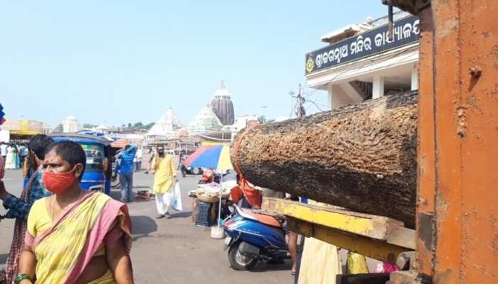 ରଥଯାତ୍ରା ପାଇଁ ଚାଲିଛି ପ୍ରସ୍ତୁତି; ରଥଖଳାକୁ ଆସିଛି ୬୨ ଖଣ୍ଡ କାଠ ରଥଯାତ୍ରା ପାଇଁ ଚାଲିଛି ପ୍ରସ୍ତୁତି; ରଥଖଳାକୁ ଆସିଛି ୬୨ ଖଣ୍ଡ କାଠ