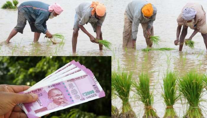 PM Kisan: ਜਾਣੋ ਕਦੋਂ ਆਵੇਗੀ PM ਕਿਸਾਨ ਯੋਜਨਾ ਦੀ 8ਵੀ ਕਿਸ਼ਤ PM Kisan: ਜਾਣੋ ਕਦੋਂ ਆਵੇਗੀ PM ਕਿਸਾਨ ਯੋਜਨਾ ਦੀ 8ਵੀ ਕਿਸ਼ਤ