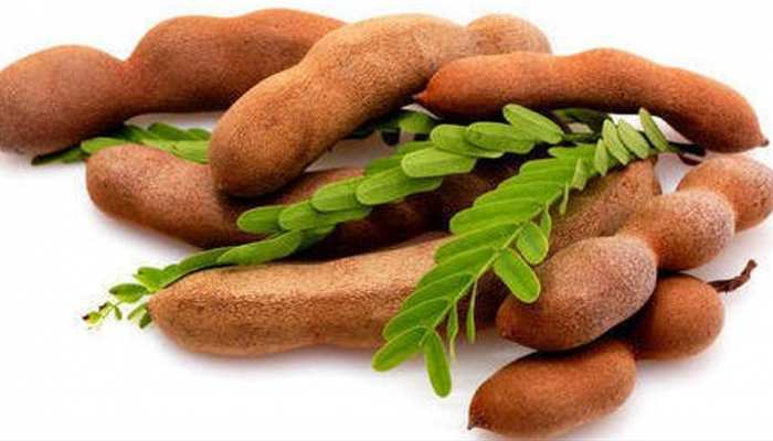 health benifits for immunity booster eat tamarind imli ke fhayde 5 health  benifits smup | Health Tips: इम्यूनिटी बढ़ानी है तो इमली खाना कर दें  शुरू,साथ में मिलेंगे ये 5 बड़े फायदे! |