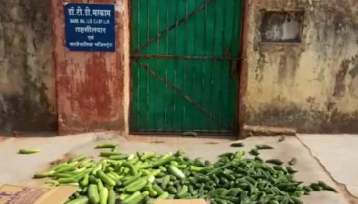 कार्रवाई से नाराज किसान पहुंचे तहसीलदार के घर, वहीं सब्जियां फेंककर बोले- 'किस बात के पांच हजार!' कार्रवाई से नाराज किसान पहुंचे तहसीलदार के घर, वहीं सब्जियां फेंककर बोले- 'किस बात के पांच हजार!'
