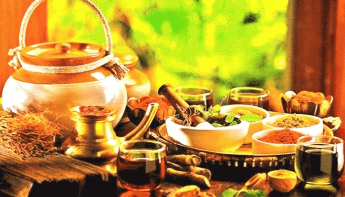 क्या है MP सरकार की वैद्य आपके द्वार योजना, कैसे मिलेगा लाभ, क्या करना होगा? क्या है MP सरकार की वैद्य आपके द्वार योजना, कैसे मिलेगा लाभ, क्या करना होगा?