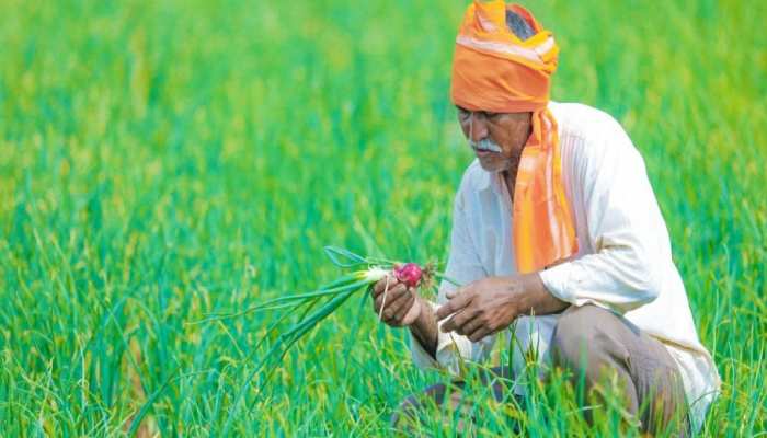 PM Narendra Modi released 8th installment of Rs 2,06,67,75,66,000 to farmers under Pradhan Mantri Kisan Samman Nidhi (PM KISAN) scheme.