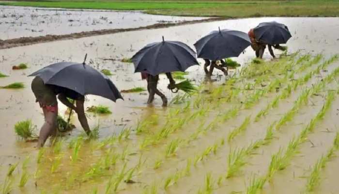 Cyclone Tauktae: राजसमंद में बारिश से खेत जलमग्न, मौसम साफ, खिली धूप Cyclone Tauktae: राजसमंद में बारिश से खेत जलमग्न, मौसम साफ, खिली धूप