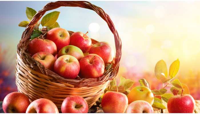 Health Tips Do Not Eat Apple Seeds Poison Food Health बन न क चक कर म इन फल क ब ज न ख ल खर ब ह ज एग ह लत Hindi News जर हटक