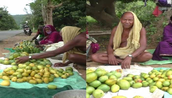 ମିଳୁନାହିଁ ବଜାର ସୁବିଧା; ଅଭାବୀ ବିକ୍ରିର ଶିକାର ହେଉଛନ୍ତି ଆମ୍ବ ଚାଷୀ ମିଳୁନାହିଁ ବଜାର ସୁବିଧା; ଅଭାବୀ ବିକ୍ରିର ଶିକାର ହେଉଛନ୍ତି ଆମ୍ବ ଚାଷୀ