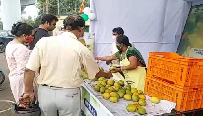 ସମ୍ବଲପୁରରେ ଲାଗିଲା ଆମ୍ବ ପସରା ସମ୍ବଲପୁରରେ ଲାଗିଲା ଆମ୍ବ ପସରା
