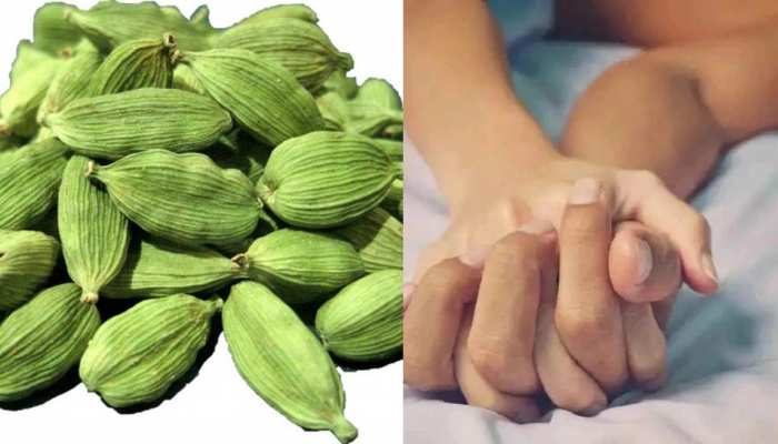 benefits of cardamom की ताज़ा खबरे हिन्दी में | ब्रेकिंग और लेटेस्ट न्यूज़  in Hindi - Zee News Hindi