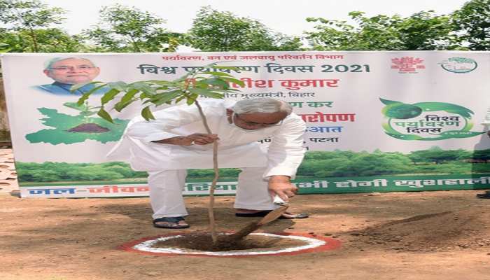 बिहार: विश्व पर्यावरण दिवस पर CM नीतीश ने आवास पर लगाया पौधा, 5 करोड़ पौधे लगाने का रखा लक्ष्य बिहार: विश्व पर्यावरण दिवस पर CM नीतीश ने आवास पर लगाया पौधा, 5 करोड़ पौधे लगाने का रखा लक्ष्य