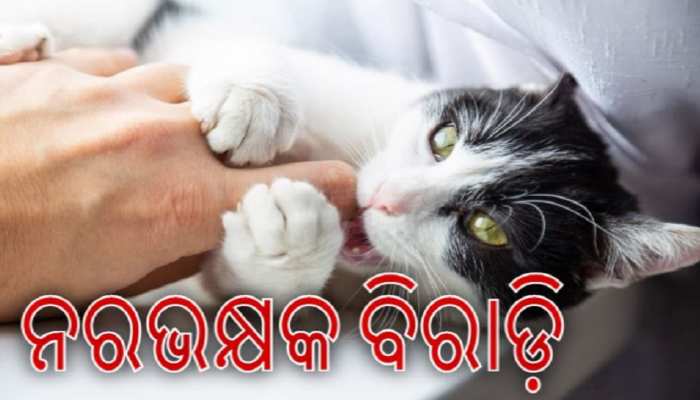 ତିନି ମାସ ମରି ପଡିଥିଲେ କୋରୋନା ଆକ୍ରାନ୍ତ, ବିଲେଇ ଖାଇଗଲେ ଅଧା ଶରୀର ତିନି ମାସ ମରି ପଡିଥିଲେ କୋରୋନା ଆକ୍ରାନ୍ତ, ବିଲେଇ ଖାଇଗଲେ ଅଧା ଶରୀର
