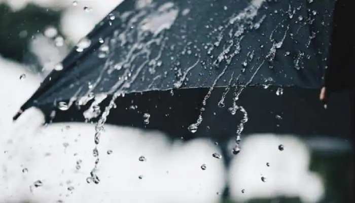 Weather News: बिहार में मानसून की शुरुआत, उमड़ उठे बादल, रिमझिम बारिश से मिली लोगों को राहत Weather News: बिहार में मानसून की शुरुआत, उमड़ उठे बादल, रिमझिम बारिश से मिली लोगों को राहत