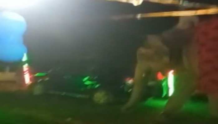 बारात में बेकाबू हुए हाथी ने जमकर की तोड़फोड़, बग्घी से उतर दूल्हे ने बचाई जान बारात में बेकाबू हुए हाथी ने जमकर की तोड़फोड़, बग्घी से उतर दूल्हे ने बचाई जान