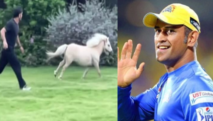 धाकड़ अंदाज में घोड़े के साथ रेस लगाते नजर आए MS Dhoni, पत्नी Sakshi Dhoni ने शेयर की वीडियो धाकड़ अंदाज में घोड़े के साथ रेस लगाते नजर आए MS Dhoni, पत्नी Sakshi Dhoni ने शेयर की वीडियो