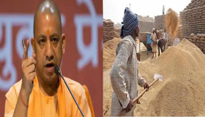 CM योगी के फैसले से लाखों किसानों को राहत, 15 जून के बाद भी मंडी में बेच सकेंगे गेहूं CM योगी के फैसले से लाखों किसानों को राहत, 15 जून के बाद भी मंडी में बेच सकेंगे गेहूं