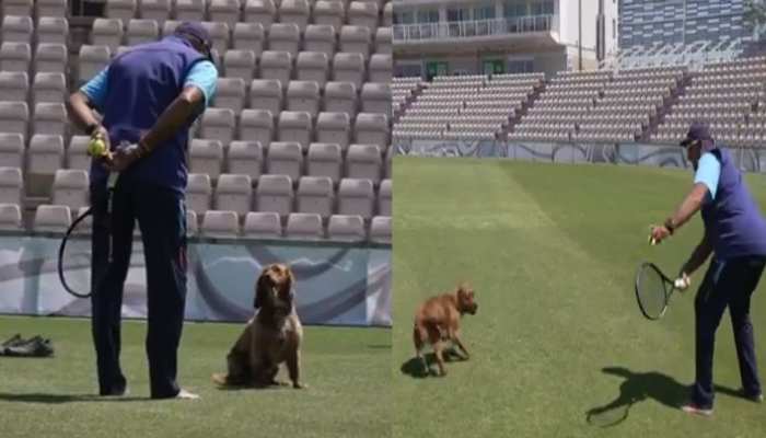 WTC: टीम इंडिया को छोड़ इस डॉगी को क्रिकेट सिखाने लगे कोच Ravi Shastri, देखिए मजेदार Video WTC: टीम इंडिया को छोड़ इस डॉगी को क्रिकेट सिखाने लगे कोच Ravi Shastri, देखिए मजेदार Video