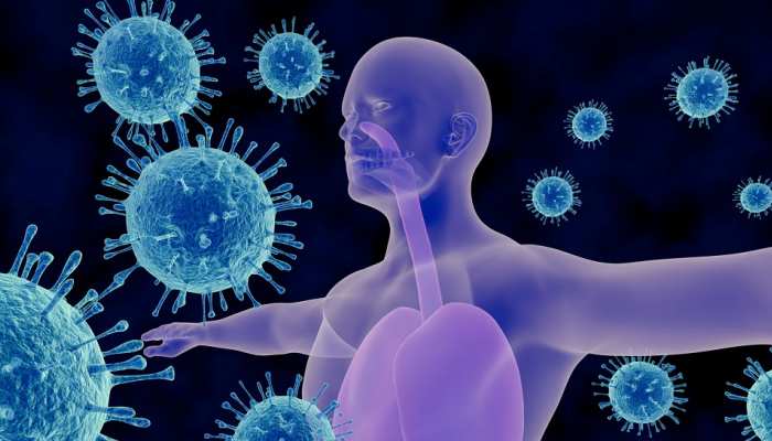 three types of immunity know the strongest type immunity boosting tips samp  | 3 Types of Immunity: तीन तरह की होती है इम्यूनिटी, जानें कौन-सा प्रकार है  सबसे ताकतवर | Hindi News, Health